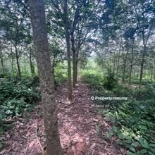 Tanah Kebun Getah Segamat