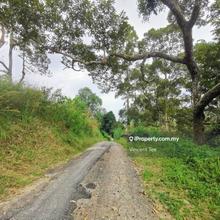 32.65 Acres Hilly Farm with Durian Agarwood Bukit Relau Balik Pulau
