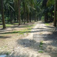 Beside The Highway Empty Land Kampung Sungai Buah Dengkil For Sale