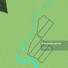 Agricultural Land For Sale