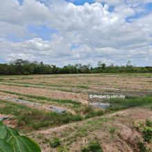 Freehold Non Bumi Lot 3 Lots Agriculture Land Pokok Sena For Sale