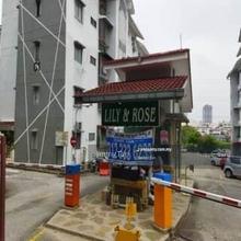 Lily & Rose Apartment for Rent !