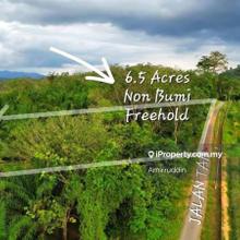Freehold Agricultural Land Near Ulu Bendul, Negeri Sembilan