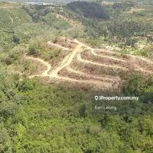 Bentong Kg Perting Agriculture Land For Sale
