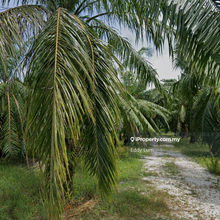 Api-api land for sale 