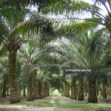 Industrial Zoning Land for sale