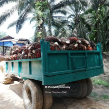 Oil Palm Estate (Very Cheap) 1,550 Acres for Sale @ Hulu Selangor