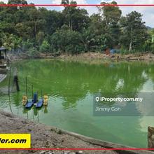Agriculture Land near Ampang (Q5151)
