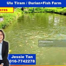 Ulu tiram durian and fish farm for sale