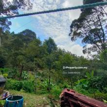 Durian Orchard for Sale in Teluk Kumbar Penang