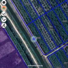 Value Buy 1acre Kuala Selangor Mukim Api Api Agriculture Land For Sale