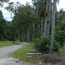 Agriculture land for sale 
