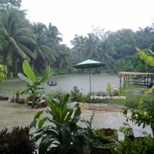 Agriculture land for Sale
