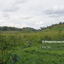 Zoning Industrial land at Sedenak for sale