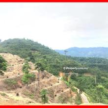 Agriculture land for Sale