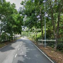 Freehold Agrilculture Land Near City Center, Malay Reserve Land