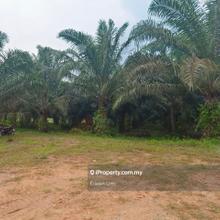 Subang , Kampung Subang Converted industry land for Sale 