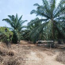 Freehold @ Agriculture Land For Sale