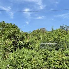 Taman Mewah Agriculture land for Sale