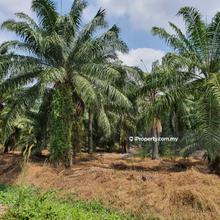 Agriculture land for Sale