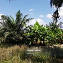 Agriculture land for Sale
