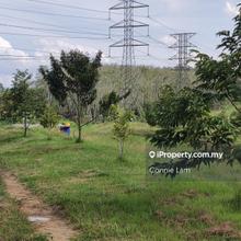 Agri land for sale at Lenggong near main road 