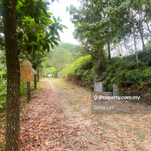 Fully-Operational 6-Acre Durian Farm Near Kl for Sale in Hulu Langat