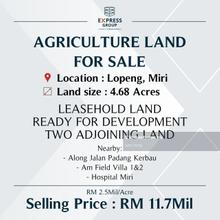 Agriculture Land at Lopeng, Miri