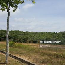 Heavy and medium freehold flat industry land 