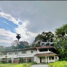 A huge land size bungalow for rent