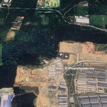 Pekan Nanas Zoning Industrial Agriculture Land for sale