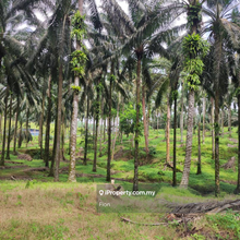 Ulu Tiram 20 acres for Sales