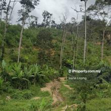 Agriculture land for Sale
