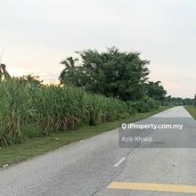Kuala Selangor agriculture land for sale