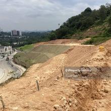 21.5 acres agriculture land near Sg Long toll Monkey Canopy area
