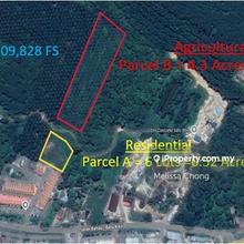 Mixed title (Agricultural and Residential) land at Bahau for Sale