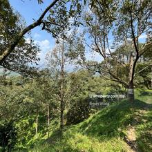 Freehold 18 arce planted 25 acre acres Durian Farm For Sale 