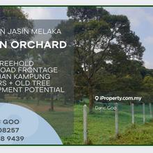 11 Acre Durian Orchard At Bemban Jasin Melaka 