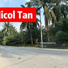Land for sale at Jalan Cangkat Facing mainroad , Nibong Tebal .