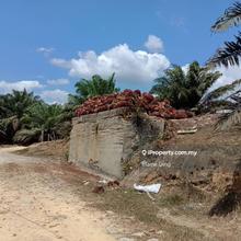 302 acres Oil Palm Estate @ Kuala Pilah Negeri Sembilan