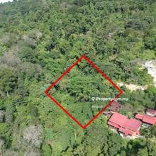 Residential/commercial zoning agricultural land at taman melawati.