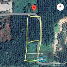 For Sale - 2 Acre Agriculture Land @ Sungai Tiram, Ulu Tiram