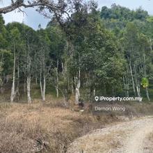 Agarwood land in Tras, Raub