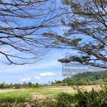 Flat corner industrial land for rent