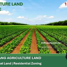 Klang Kapar Agriculture Flat Land At Kapar For Sales