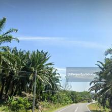 Agriculture land for Sale