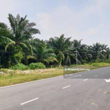 Agriculture Land @ Kota Warisan, Dengkil, Sepang For Sale