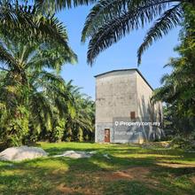 Palm Oil Land, Sungkai, Perak (80 Acres)