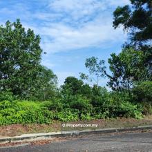 15 Acres Agricultural Land For Sale Simpang Ampat Alor Gajah