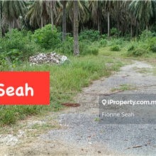 Simpang Ampat Commercial Land 4 acre for Rent